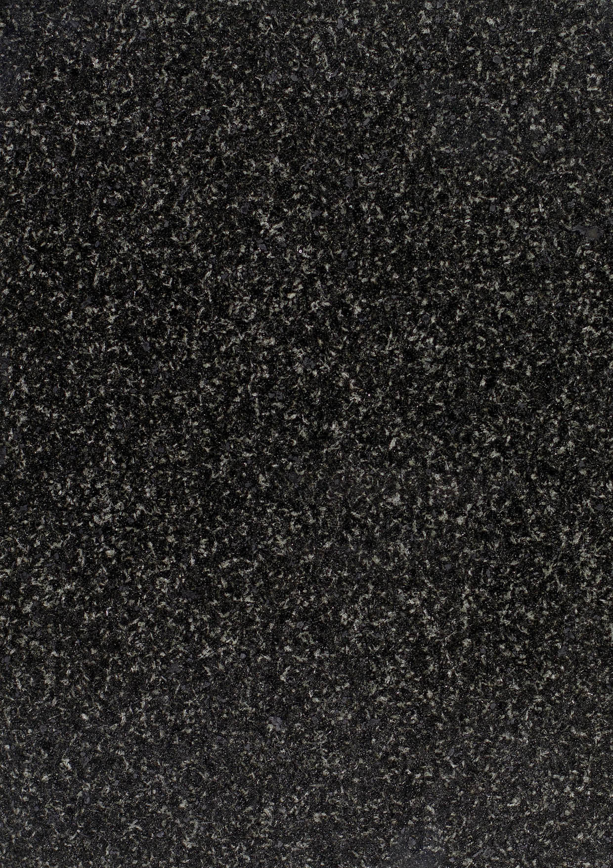 Bengal black