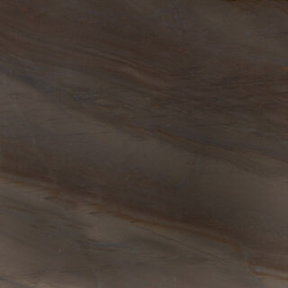 Elegant Brown