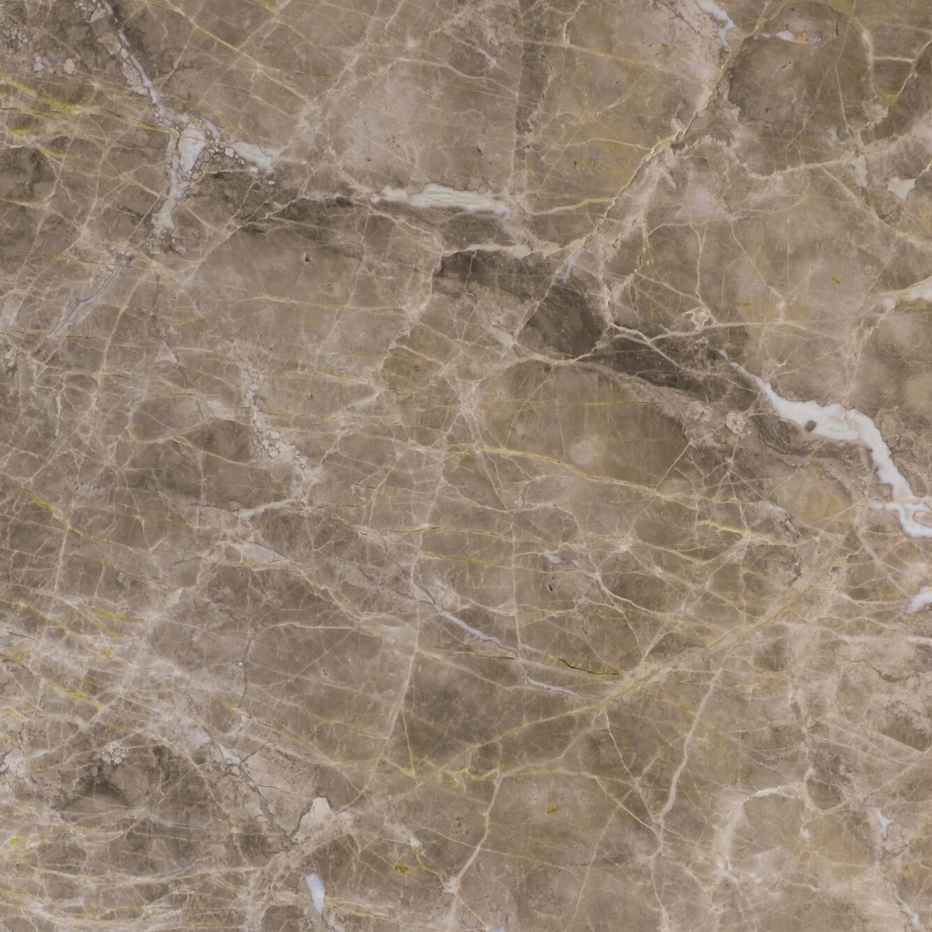 lardi marbriers, marbre, macchia vecchia