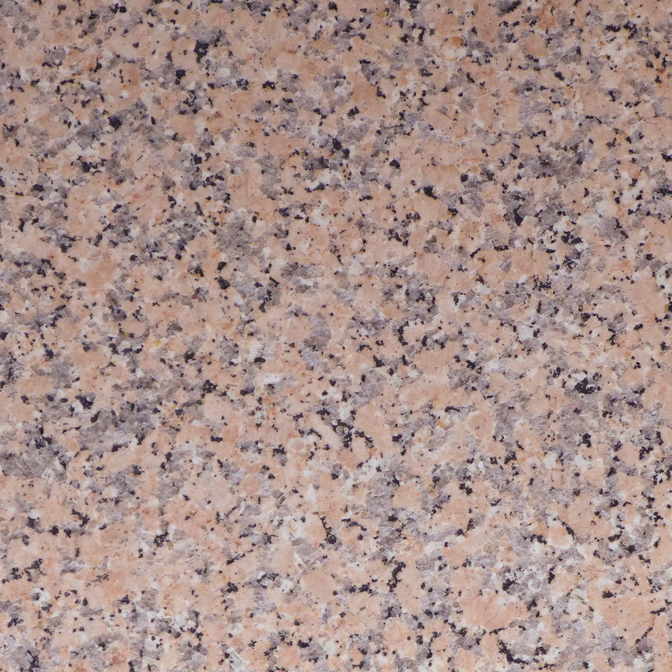Rosa Porhino