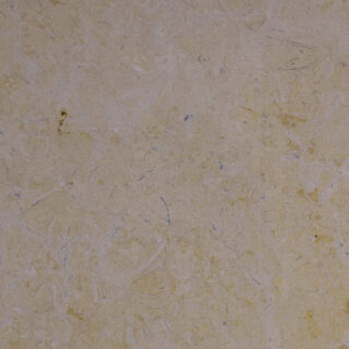 Galala Shell